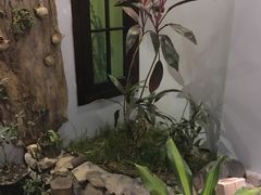 -馬蘭花開(车站大道店)