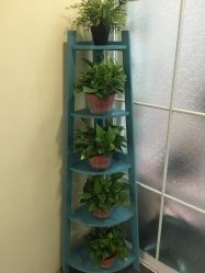 -薇兰专业脱毛连锁机构