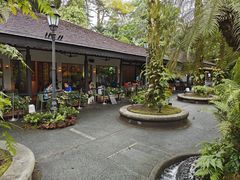 -新加坡植物园