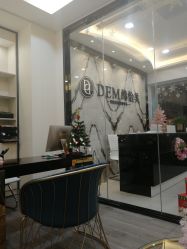 -DEM缔怡美科技美容