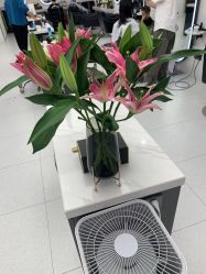 -侨治发型