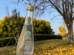 -两河城市森林公园