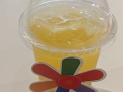 -星漠亲子餐厅•有机食材•儿童游乐