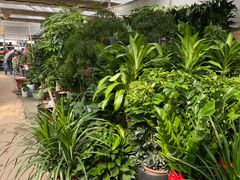 -秦美花卉(天朗·莱茵小城2期店)