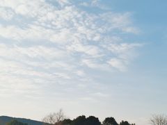 -香雪海