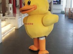 -御仙都北京菜馆·烤鸭店(双井店)