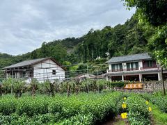 -雁荡山大龙湫景区