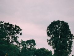 -华南国家植物园-售票处