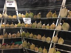 -都念榴莲·城市榴莲