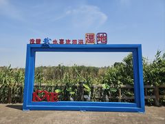-泗洪洪泽湖湿地景区