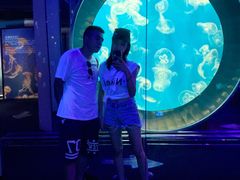 -成都浩海立方海洋公园