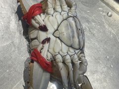 -北塘海鲜·天津菜(大光明桥旗舰店)