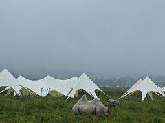 -新疆那拉提国家旅游度假区