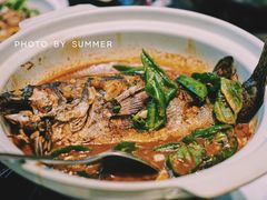 红烧鳜鱼-茶叁酒肆·楚味江湖(菱角湖店)