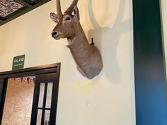 -普兰达德国餐厅·德式脆皮烤猪肘·自酿啤酒(观唐店)