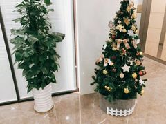 -谢冬律师团队·专注离婚案件·君澜律所