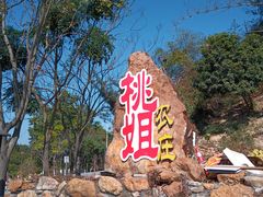 -桃姐农庄老字号(从化温泉店)