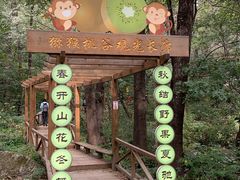 -大岭沟猕猴桃谷风景区