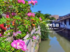 -浏河古镇