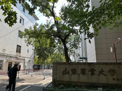 -山东农业大学(岱宗校区)
