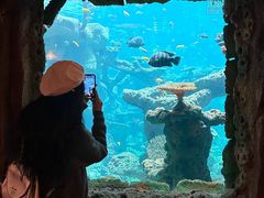 -长鹿旅游休博园