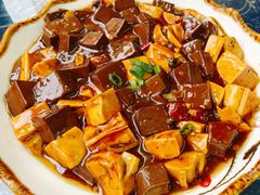 麻辣鸭血烧豆腐-土匪鱼酒店