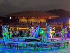 -海南槟榔谷黎苗文化旅游区