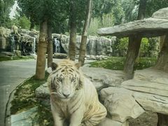 -北京野生动物园