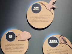 -中国湿地博物馆