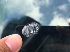 -鲨鱼皮汽车凹陷玻璃修复(静安店)