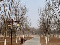 -张家湾公园