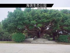 -深圳湾公园(南山区)