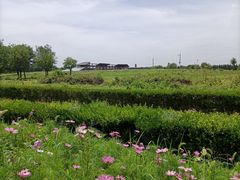 -汉景帝阳陵博物院