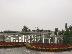 -南京眼步行桥