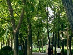 -洛阳市隋唐城遗址植物园