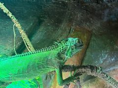 -海合安武汉极地海洋公园