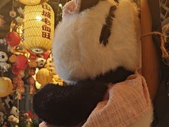 -永安水煮活鱼·仪征菜(仪征奥林匹克店)