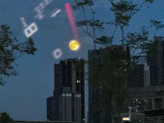 -文华扒房及酒吧(香港文华东方酒店)