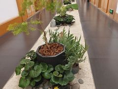 -玖合素手·轻养足浴SPA(云纺大悦城店)