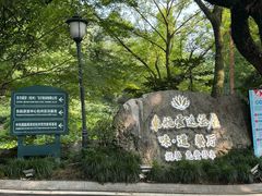 -东航云逸酒店(九溪烟树店)