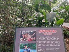 -广东温泉宾馆