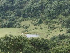 -大姆山草场