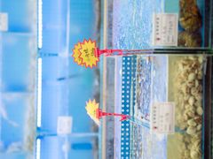 -鼓歌海鲜舫·手抓海鲜(大学城店)