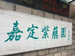 -嘉定紫藤园