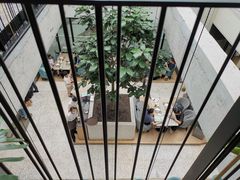 -大树餐厅(红旗街万达店)