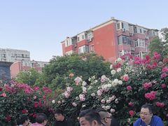 -张记焖窑·十五年专注焖烤(雍和宫店)