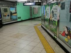 -大望路(地铁站)