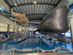 -上海海洋大学鱼文化博物馆(军工路校区)