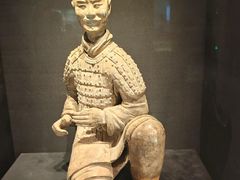 -陕西自然博物馆