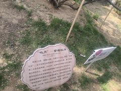 -太阳宫公园